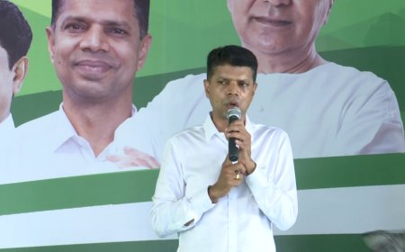 ସକ୍ରିୟ ରାଜନୀତିରୁ ସନ୍ୟାସ ଘୋଷଣା କଲେ ଭିକେ ପାଣ୍ଡିଆନ୍