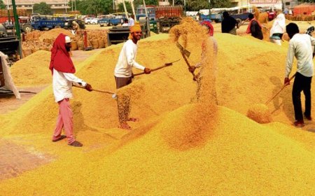 ଏଣିକି ଧାନ ମଣ୍ଡିରେ ଲାଗିବ ସିସିଟିଭି