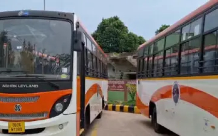 ବଦଳିଲା ଲକ୍ଷ୍ମୀ ବସ୍‌ର ରଙ୍ଗ