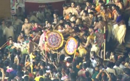 ବଡ଼ ଠାକୁର ପଡ଼ିଯିବା ଘଟଣାର ତଦନ୍ତ ଆରମ୍ଭ