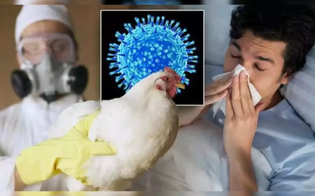 ମଣିଷକୁ ଡେଇଁଲା ବାର୍ଡ ଫ୍ଲୁ