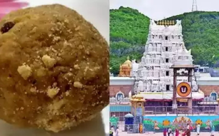 ତିରୁପତି ଲଡ଼ୁ ବିବାଦ: ଘିଅକୁ ନେଇ ସ୍ପଷ୍ଟୀକରଣ ଦେଲା ଅମୁଲ୍‌