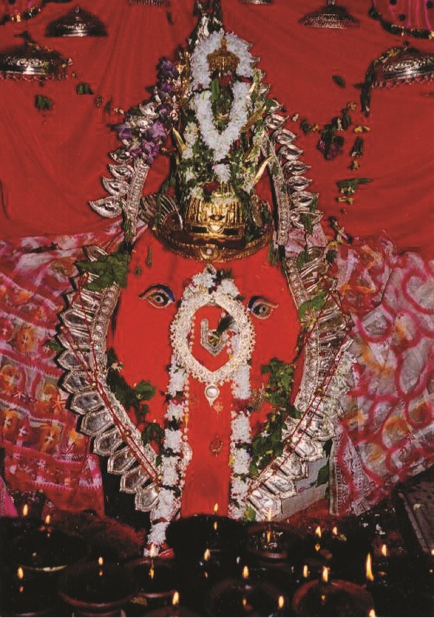 ନୂଆଁଖାଇରେ ମା ସମଲେଶ୍ୱରୀ ଓ ମା ପାଟଣେଶ୍ୱରୀ ନିକଟରେ ଲାଗିହେଲା ନବାନ୍ନ