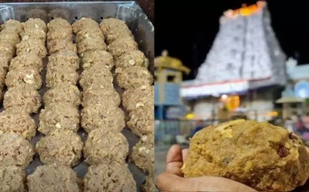 ତିରୁପତି ଲଡୁ ବିବାଦ ମାମଲାର ତଦନ୍ତ କରିବ ଏସଆଇଟି