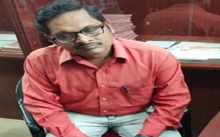 ଭିଜିଲାନ୍ସ ଜାଲରେ ଜେଇ