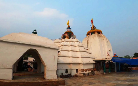 ଶ୍ରୀମନ୍ଦିରରେ ଆଜି ଶ୍ରୀଜିଉଙ୍କର ଆଡ଼କିଆ ବା ତ୍ରିବିକ୍ରମ ବେଶ,ହରିହର ବେଶରେ ଦର୍ଶନ ଦେଉଛନ୍ତି ବାବା ଧବଳେଶ୍ଵର