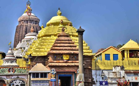 ବେଆଇନ ଭାବେ ଜଗନ୍ନାଥଙ୍କ  ଜମି ବିକ୍ରି କରିଥିଲେ ହେବ କଡା କାର୍ଯ୍ୟାନୁଷ୍ଠାନ