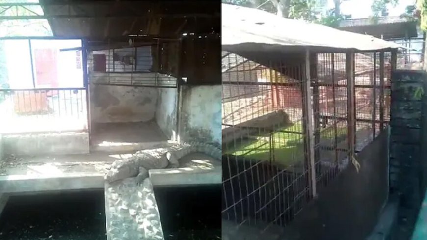 ପୂର୍ବତନ ବିଜେପି ବିଧାୟକଙ୍କ ଘରେ ଆୟକର ଚଢ଼ାଉ, ମିଳିଲା କୋଟି କୋଟି ଟଙ୍କା ସହ ୩ଟି କୁମ୍ଭୀର