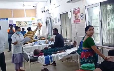 ଯାଜପୁରରେ ୭ ମୁଣ୍ଡ ନେଲାଣି ଝାଡାବାନ୍ତି