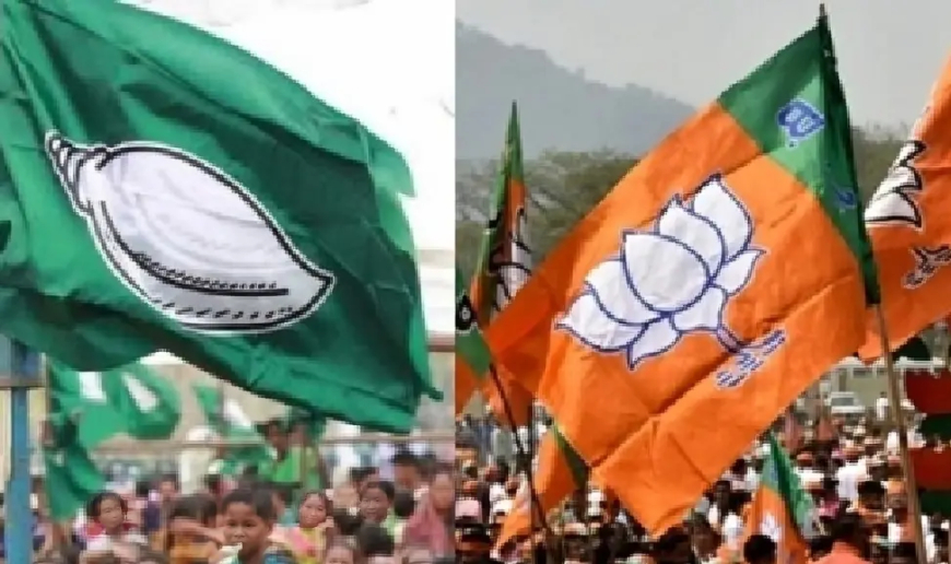 ଦିଲ୍ଲୀ ଗସ୍ତରେ ବିଜେପି ଏବଂ ବିଜେଡି ମୁଖିଆ